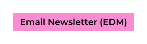 Email Newsletter EDM