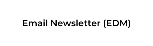 Email Newsletter EDM